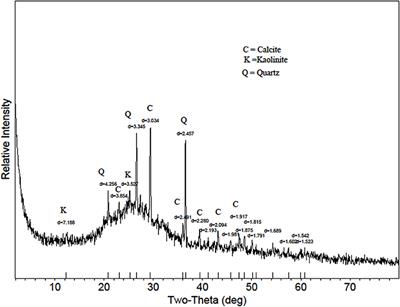 Biochar as Influenced by Feedstock Variability: Implications and Opportunities for Phosphorus Management